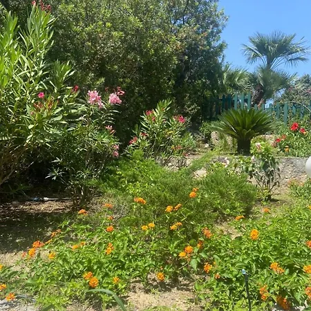 Belvedere Appartamento