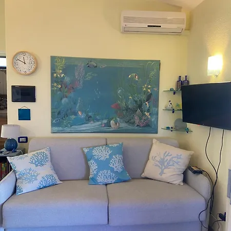 Belvedere * Коста Рей