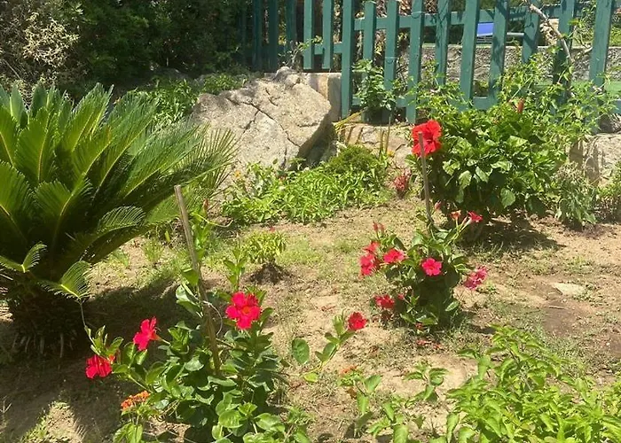 Апартаменты Belvedere