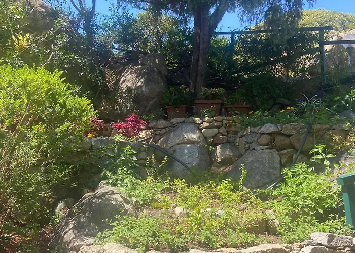 Belvedere * Коста Рей