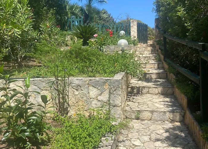 Belvedere Апартаменты