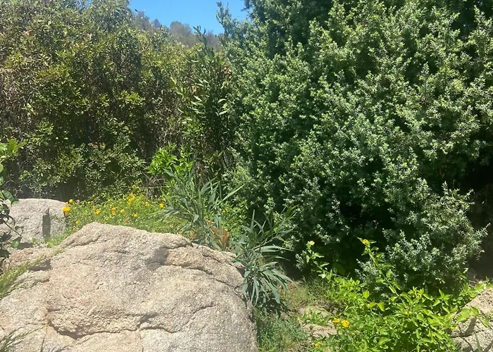 Belvedere Apartman Costa Rei