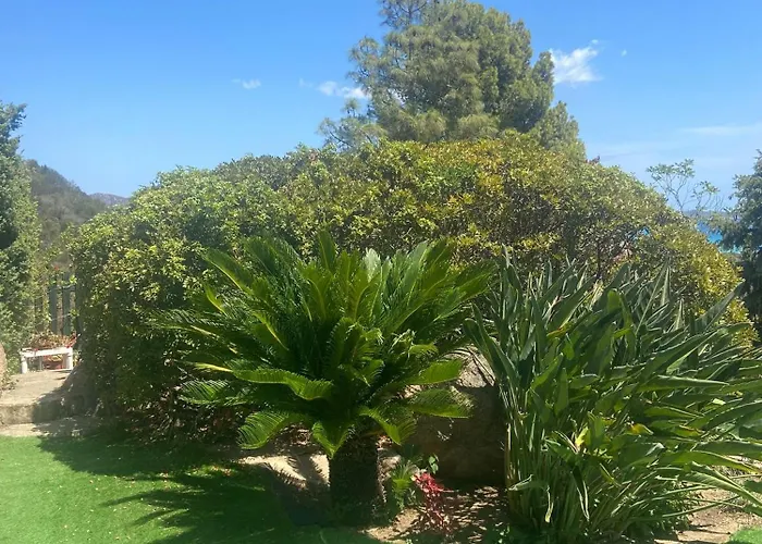 Апартаменты Belvedere *